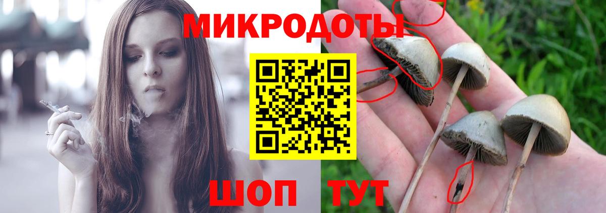 Еманжелинск  Псилоцибиновые грибы ЛСД  Вход с VPN 